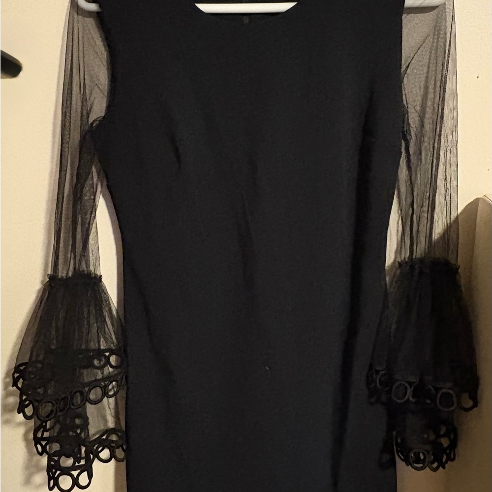 Crystal Doll Black Dress with Sheer Bell Sleeves
